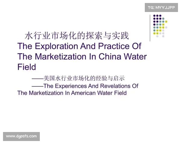 协作与冲突中的多元化发展:五个案例探索与启示 协作与冲突中的多元化发展:五个案例探索与启示