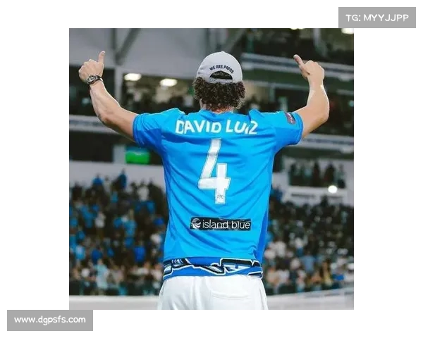 大卫路易斯未入选原因深度剖析与背后真相解读 大卫路易斯未入选原因深度剖析与背后真相解读