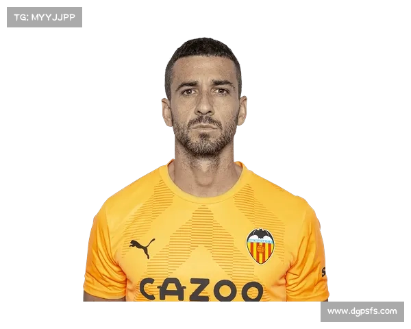 桑切斯职业生涯分析与他效力过的各大足球俱乐部概况